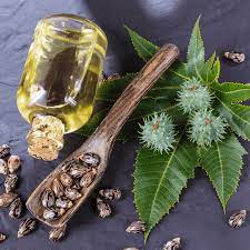 Natural Hair Growth Oil